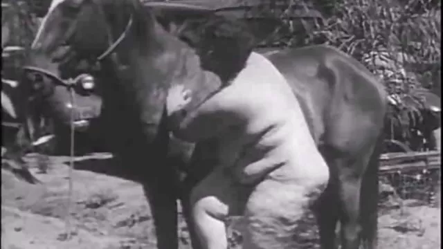 دعارة أي تسجيل مفلس الملابس سكس عربى مصريه الداخلية tease