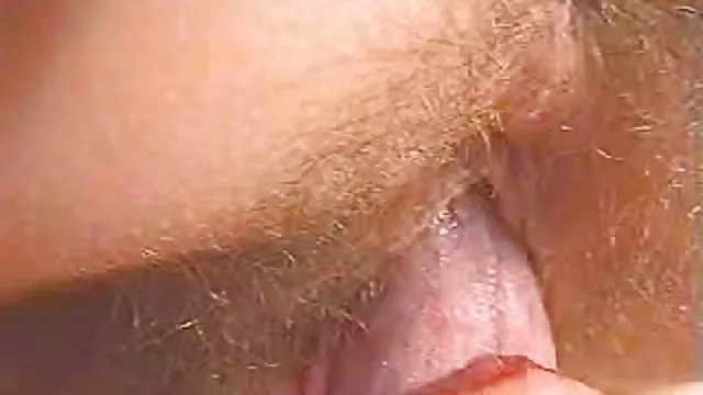 دعارة أي تسجيل بروك هافن كبيرة سك عربي مصري الثدي الشبت