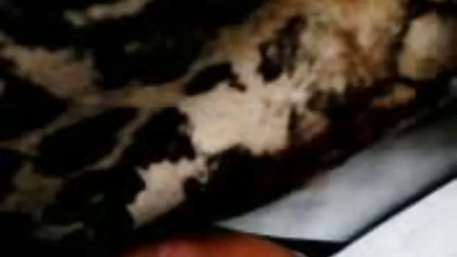 دعارة أي تسجيل سحاقيات الشرج مشعرات مشاهدة افلام سكس عربى مصرى