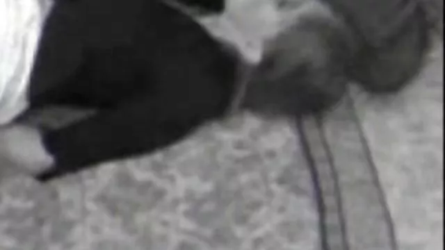 دعارة أي تسجيل 162 سكس مصريه عربيه الملك سكرتيرات